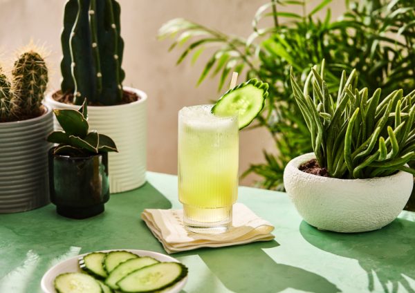 Cucumber Cocktail