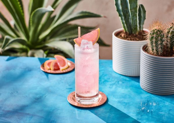 Fresh Paloma