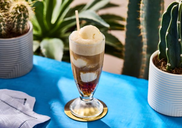Milkshake / Root Beer Float